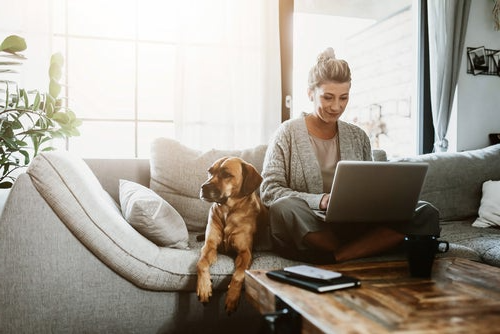 woman on laptop with dog
